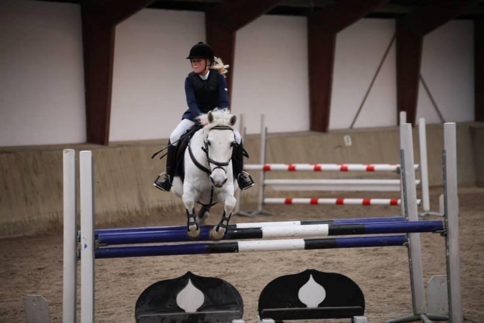Anden særlig race Vestergaards Quick Step (B-Pony) - LA** Klub-mesterskab 2013
NSR billede 11
