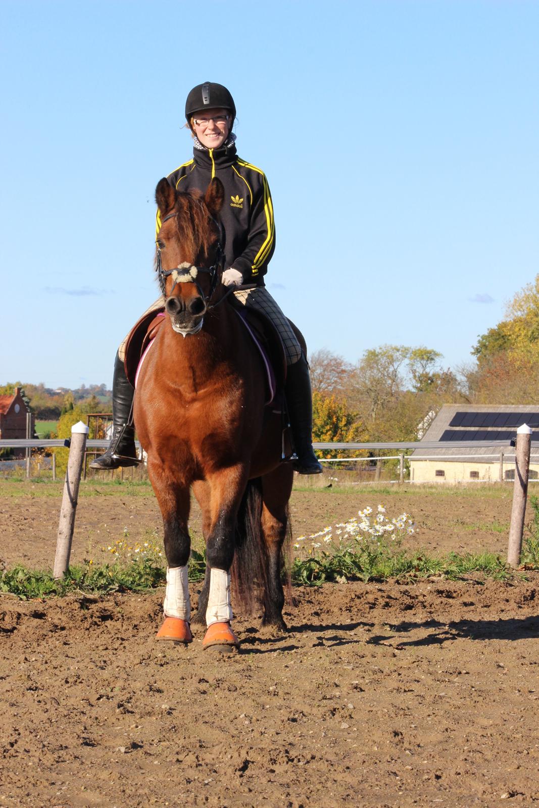 New Forest Megan (Megx) billede 20