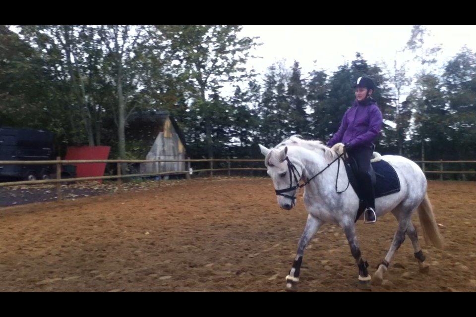 Connemara Drummond Laura - Da jeg var ude og prøve hende<3 billede 14