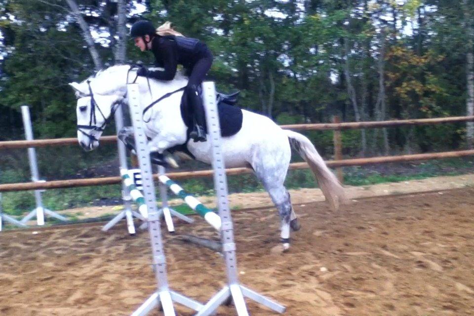 Connemara Drummond Laura - Da jeg var ude og prøve hende<3 billede 16