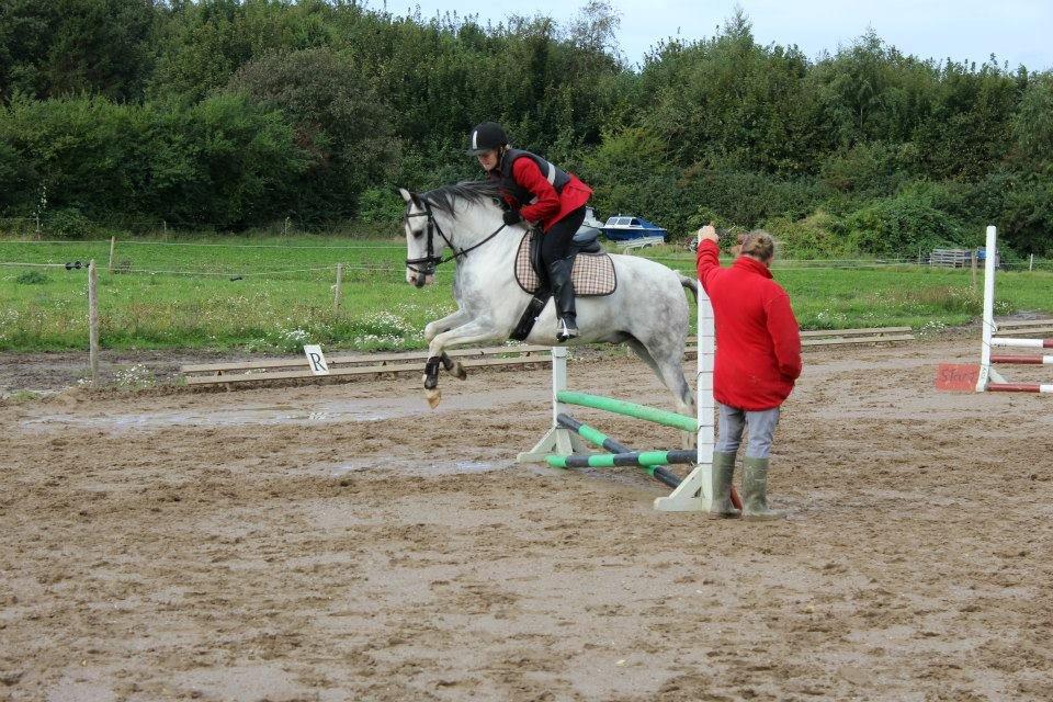 Anden særlig race • Lakota • billede 3