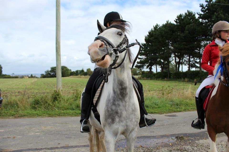 Anden særlig race • Lakota • - Skøre trold! :-D billede 12