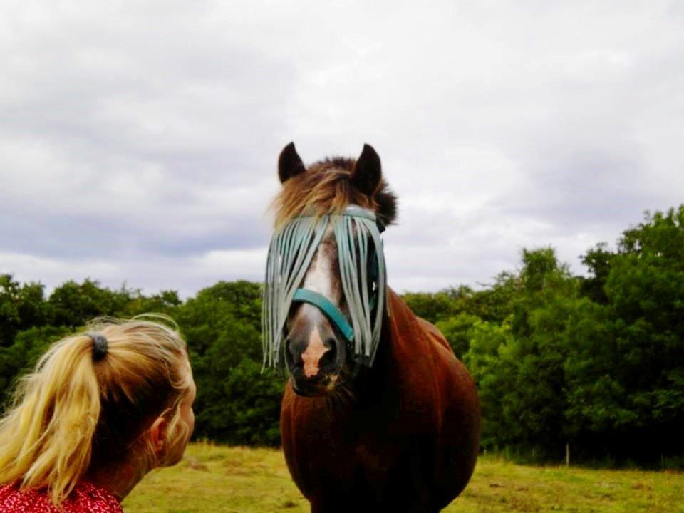 Anden særlig race Ferdinand (namse)  - Ingen kan tage min kærlighed til dig fra mig! <3 Foto - Amalie billede 11