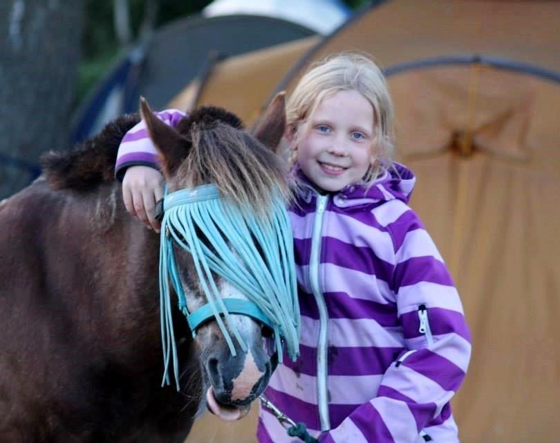 Anden særlig race Ferdinand (namse)  - Ferdinand på ridelejr. billede 4