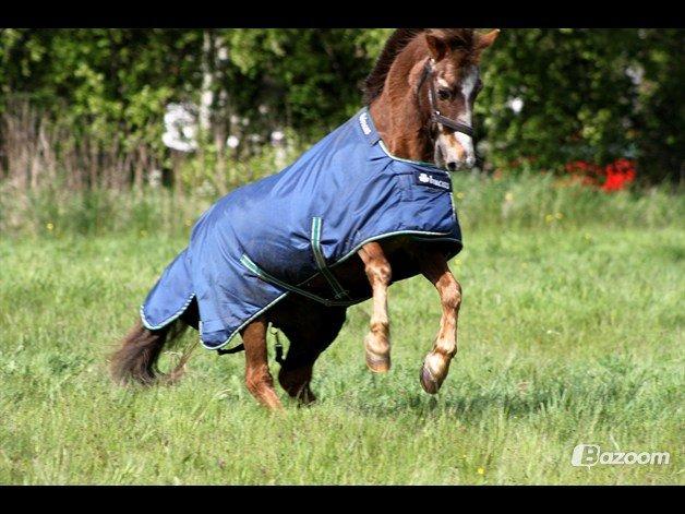 Anden særlig race Ferdinand (namse)  - „Be weird. Be random. Be who you are. Because you will never know, who would love the person you hide.“ på sommerfold 2012 <3 Foto - Sille billede 9