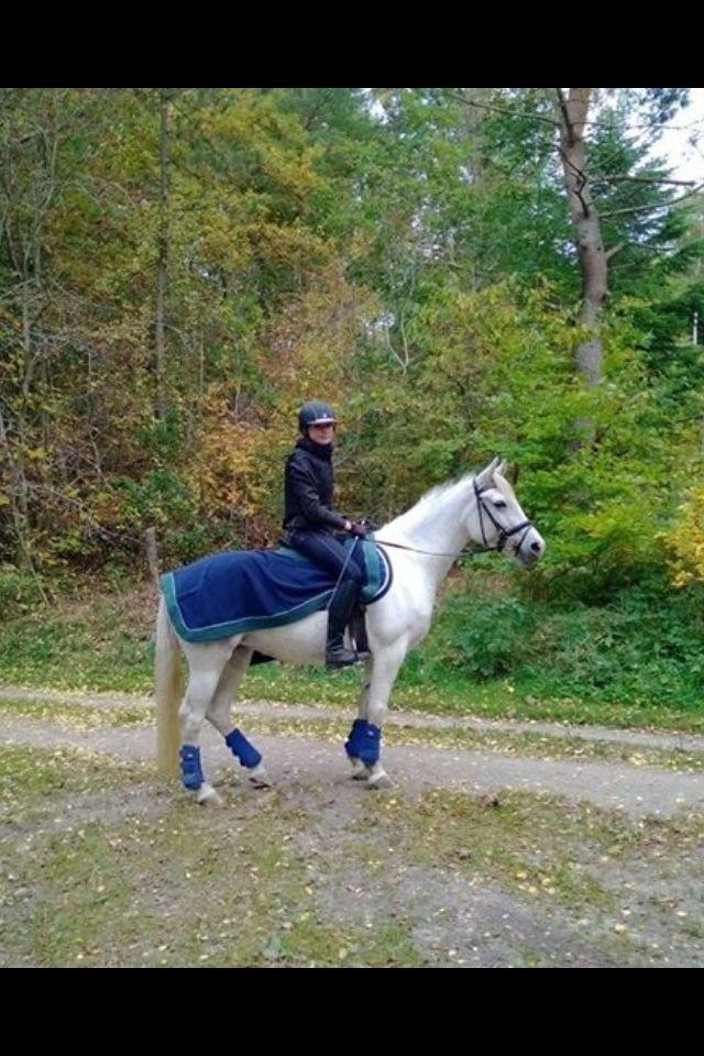 Anden særlig race Sjalina billede 1