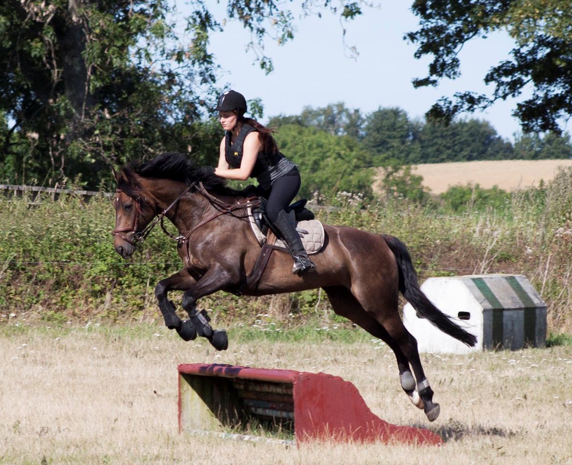 Anden særlig race Miss Fine Bine - Søborggård 2013 billede 21
