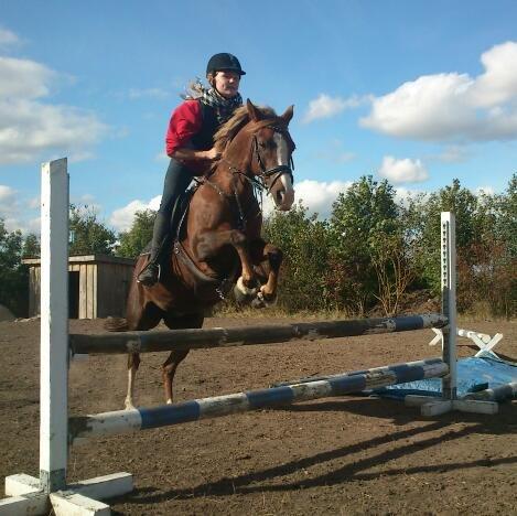 Anden særlig race Vestergårds La Foxy - Jeg skrev hendes navn i sandet, men vandet tog det. Jeg skrev hendes navn på muren, men regnen tog det. Jeg skrev hendes navn på et papir, men vinden tog det. Jeg skrev hendes navn i mit hjerte, og der vil det altid stå!<3 billede 25