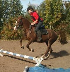 Anden særlig race Vestergårds La Foxy billede 27