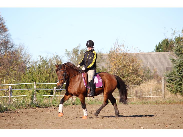 {{currentPhoto.altText}} billede {{currentPhoto.number}}