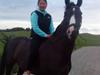 Dansk Varmblod Lucky to B
