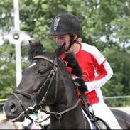 Anden særlig race Tara SOLGT