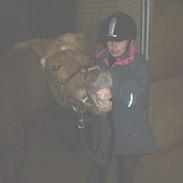 Anden særlig race Simba *solgt*