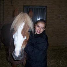 Welsh Pony (sec B) Wandus Lady