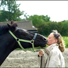 Anden særlig race Branddammens Tabasco