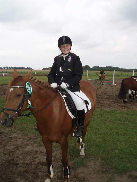 Anden særlig race Rose   - 3 plads i den føste Debutantspring billede 4