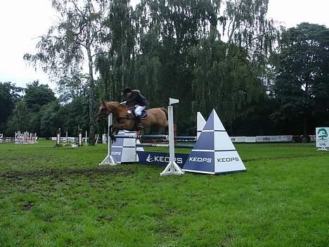 Irsk Sportspony Limbo  - Distrikmesterskab parken 06 billede 2