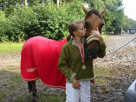 Irsk Sportspony Limbo  - Distrikmesterskab 06 parken , vi vandt (; billede 3