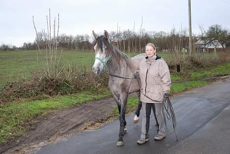 Pura Raza Española Dalgards Guapa(aflivet) billede 16