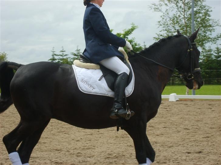 Pinto Monet billede 10