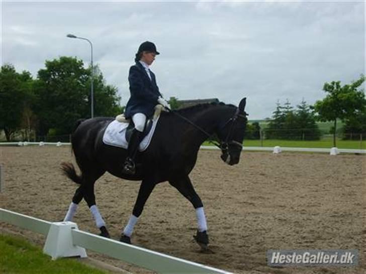 Pinto Monet - Monet billede 11