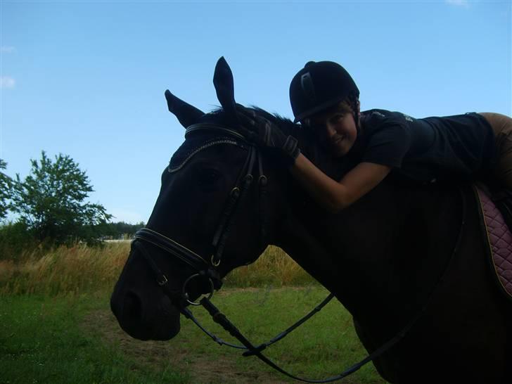 Pinto Monet billede 14