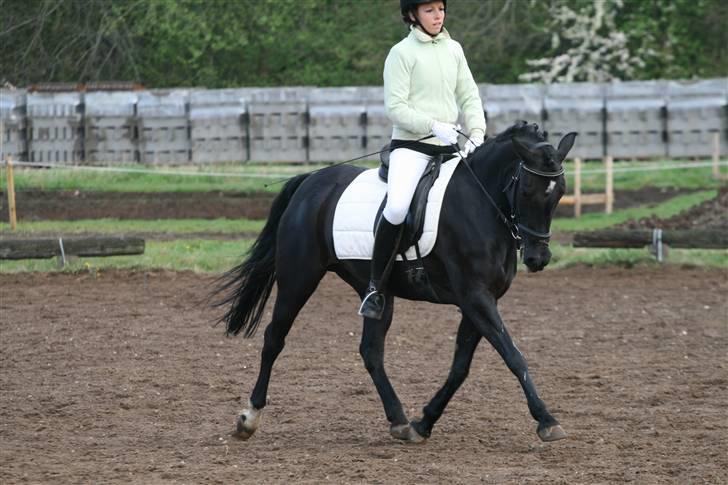 Anden særlig race Tara SOLGT - Velkommen til Taras profil <3 hun er til salg fra januar billede 1