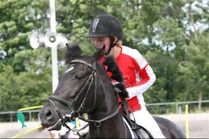Anden særlig race Tara SOLGT - Lands i ponygames 2007  billede 2
