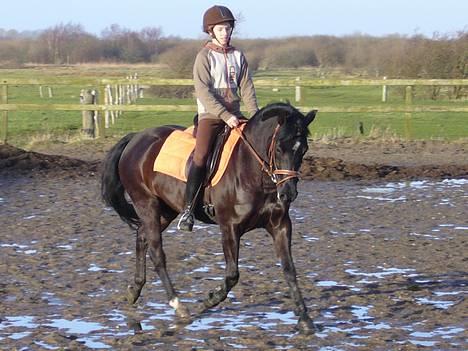 Anden særlig race Tara SOLGT - gammelt billede taget af min bror ;) billede 8