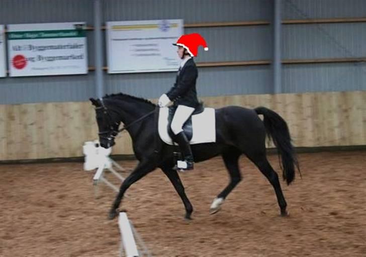 Anden særlig race Tara SOLGT - Det kan da ikke se bedre ud?:P Bedsted-lc2-vandt klassen. Fotograf: Annemette billede 10