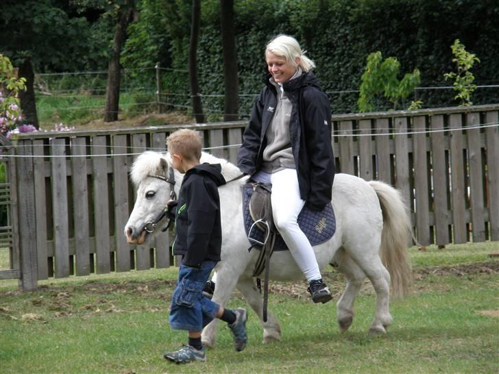 Shetlænder Riffer.R.I.P - Trine der får en trække tur af en lille dreng til opvisningen i byen. : ) billede 5