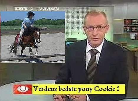 Welsh Pony (sec B) Cookie billede 18