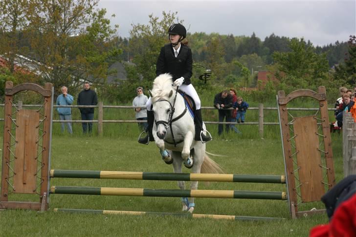 Anden særlig race Snowy *død* 17/11-2009 - Stævne GDR  billede 4