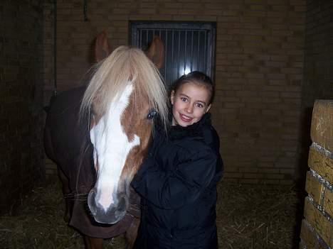 Welsh Pony (sec B) Wandus Lady - Mig og Lady <3 billede 2