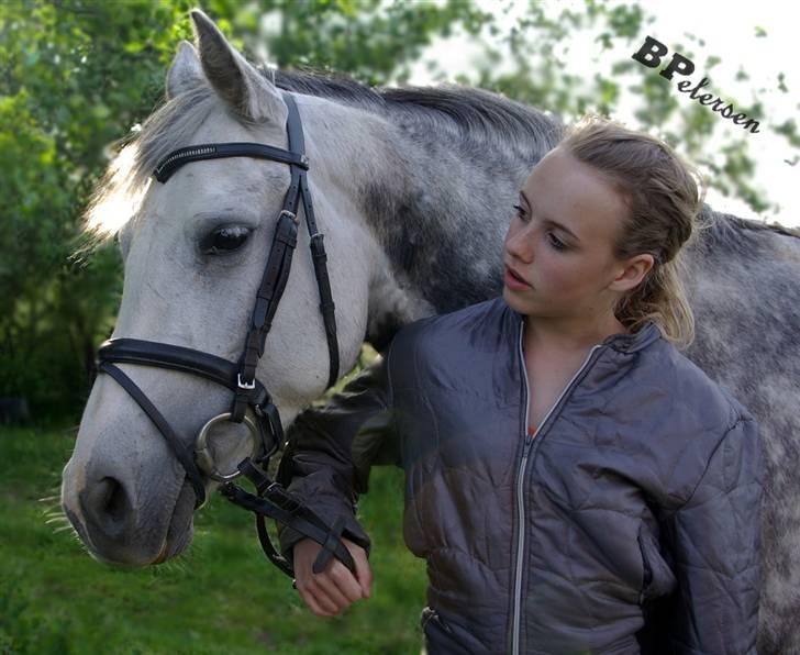 DSP Geiser Sarai - smukke reje (; billede 3