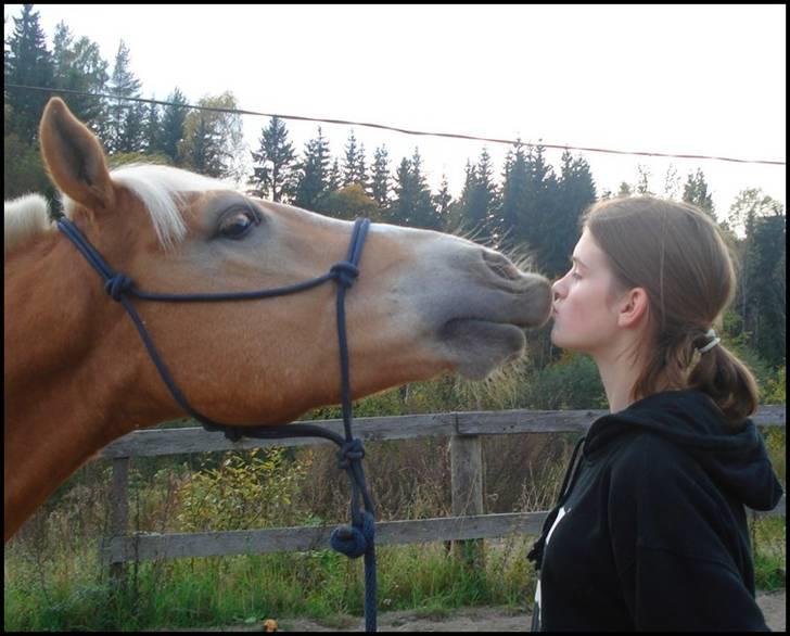 Haflinger Star Wars *solgt* - Oppdatert 10.okt08 billede 11