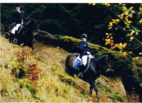 DSP Nickoline billede 19