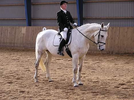 Holstener Tornegårdens Mary Lue - Afslutnings parade billede 18