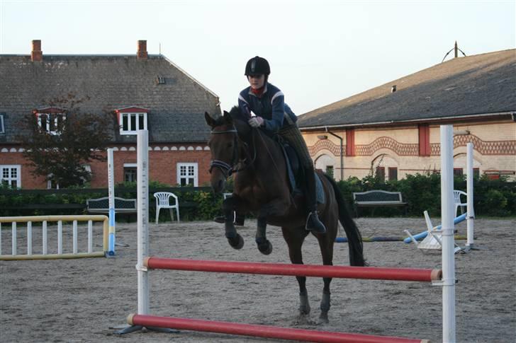 Westfaler Reality - Jihaa,, spriiiiiing :D billede 2