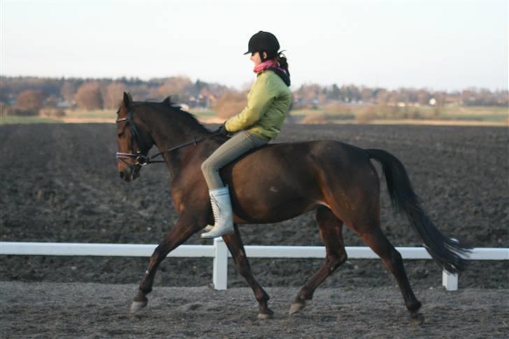 Westfaler Reality - Fri :) billede 5