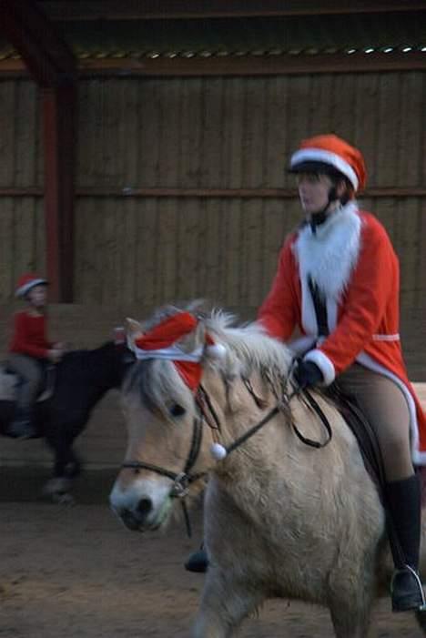 Fjordhest Claus (Part) - [Taget af min moster] billede 13