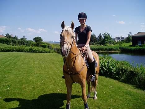 New Forest Hustlers Chris *solgt* billede 7