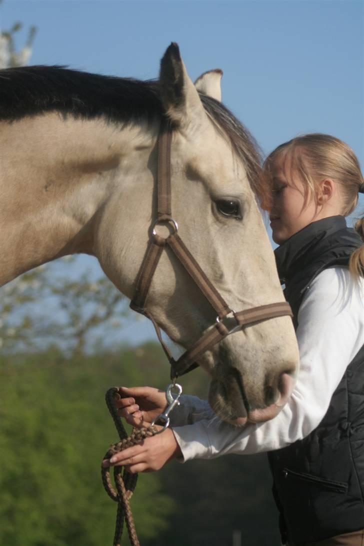 Frederiksborg Nubia - Nubia billede 1