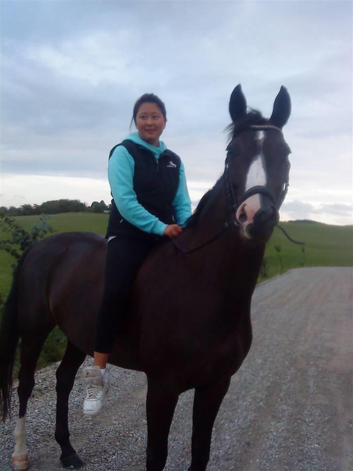 Dansk Varmblod Lucky to B - go dag :D billede 1