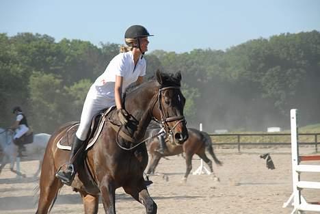 Dansk Varmblod Lambadino - Elsker min egen lambadino billede 8