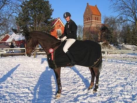 Dansk Varmblod Lambadino - Her vandt vi lc på ledøje.. <3 Skønne sprinhest<3 billede 9