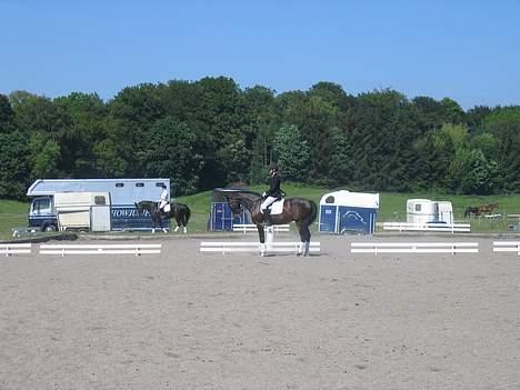 Dansk Varmblod Lambadino - Mit 2 eller 3 dressurstævne, kan ikke huske. Nice parade :P haha<3  billede 12