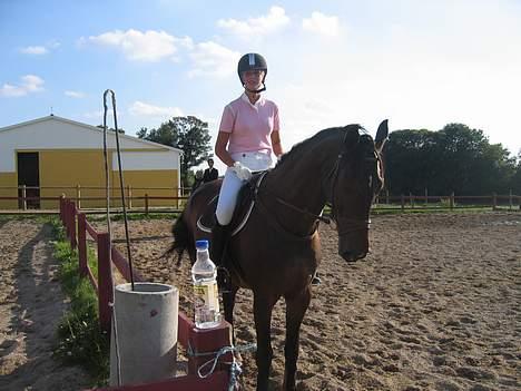 Dansk Varmblod Lambadino - Springstævne på DARK<3  billede 13