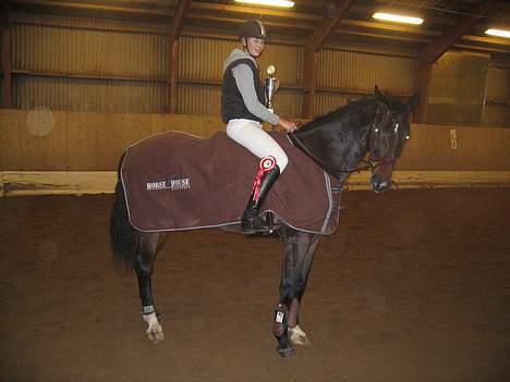 Dansk Varmblod Lambadino - Springchampionatet. Elsker min springhest<3 billede 15