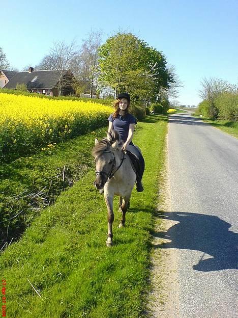 Anden særlig race Amanda *solgt* - Mig og Amanda :) billede 14